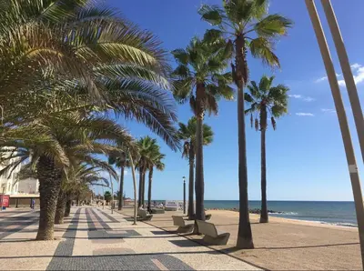 a row of palm trees on a beach with the ocean at Princess Retreat Beautiful Modern Aprt 2 min walk from Quarteira Beach in Quarteira
