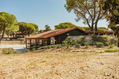 a house in the middle of a field at Casa Ana Almancil in Almancil