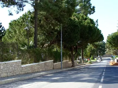 an empty street with trees and a stone wall at Calm Sunny Apartment near Falésia Beach in Albufeira