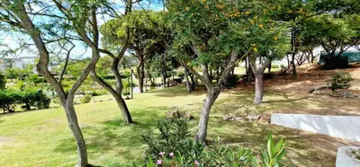 a group of trees in a field with grass at Victory Village Club,Quinta do Lago in Loulé