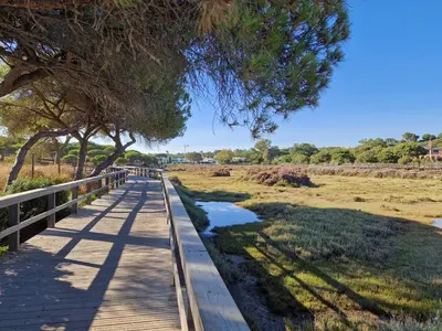 a wooden boardwalk in a field with a bridge at Ancão beach duplex with private garden in Almancil