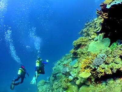 two people are scuba diving over a coral reef at Luxury 1 Bedroom Apartment, Marina de Albufeira in Albufeira