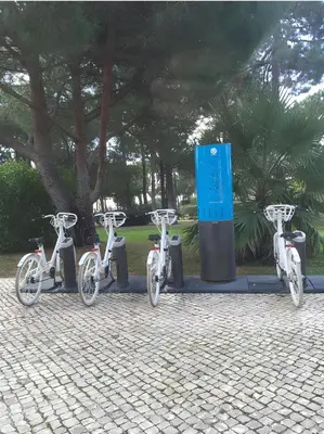 a group of three bikes parked next to a tree at Moradia VSSG em Vilamoura in Quarteira