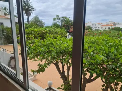 an open window with a view of a tree at Casa dos Arcos in Olhos de Água