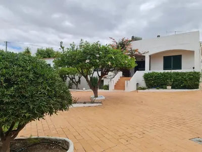 a house with trees and a brick driveway at Casa dos Arcos in Olhos de Água