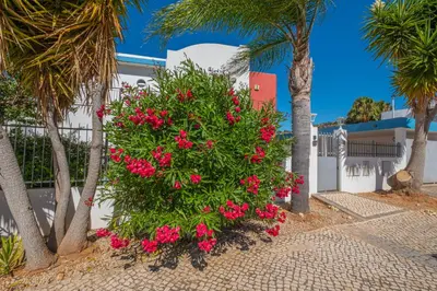 a bush with pink flowers in front of a building at Capetown Marina Luxury Villa - Private Pool in Albufeira