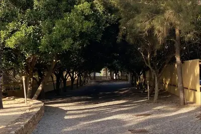 a tree lined street with a fence and trees at Beach Front Luxury T1 Apt Pools Garage Tennis in Albufeira