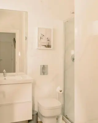 a white bathroom with a toilet and a shower at Glam House no coração da cidade in Faro