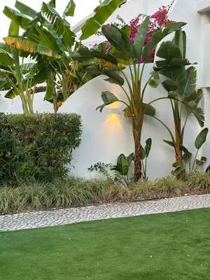 a garden with green grass and plants at Casa Mocha Vale do lobo 2 bed apartment in Loulé
