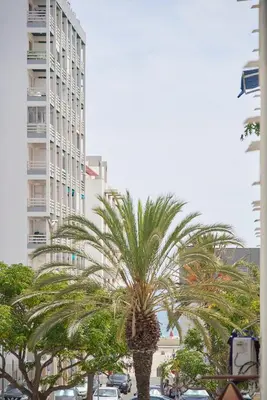 a palm tree in front of a tall building at Amazing Flat, 100m from beach in Quarteira