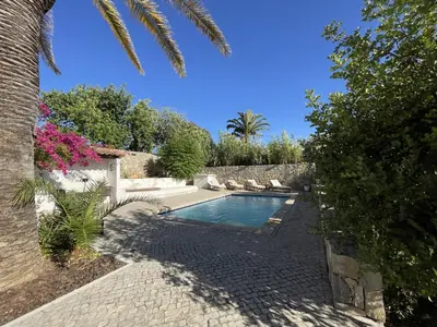 a swimming pool in a garden with a palm tree at La Casa de Casa Estréla in Loulé