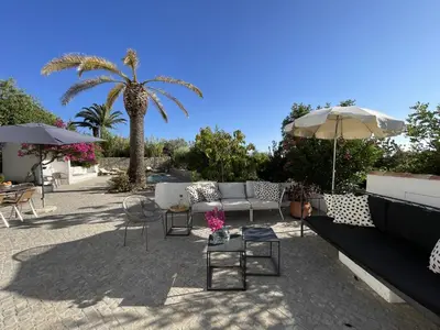 a patio with a couch and chairs and a palm tree at La Casa de Casa Estréla in Loulé