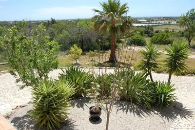 a garden with palm trees and plants at Holiday home in Santa Barbara de Nexe - Algarve 51807 in Santa Bárbara de Nexe
