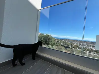a black cat looking out a window at a view at Ocean view by Charmes C in Albufeira