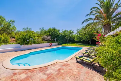 a swimming pool with chairs and a palm tree at Villa Alice by Algarve Vacation in Albufeira