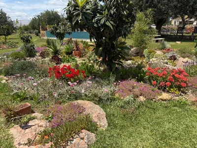 a garden with colorful flowers in a park at Casa Tranquility with beautiful heated pool and Jacuzzi! in Loulé