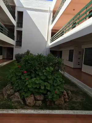 a plant in the courtyard of a building at Peixe and Barco Studio's in Vilamoura