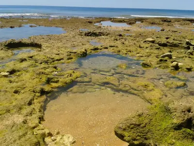 a beach with rocks and water and the ocean at Casa da Praia in Albufeira