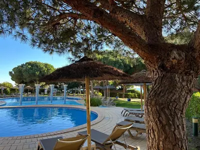 a tree with chairs and an umbrella next to a pool at Moradia V2 - 200m da Praia da Oura - Santa Eulália in Albufeira