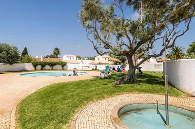 a swimming pool with a tree in a yard at Vilamoura Beach Villa by nature with Olympic Pool in Quarteira