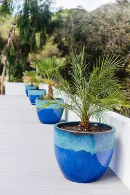 a row of blue pots with plants in them at Casa da Alegria, Vale do Lobo in Almancil