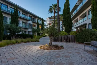 a tree in the middle of a courtyard with a bench at Areias Branca in Quarteira
