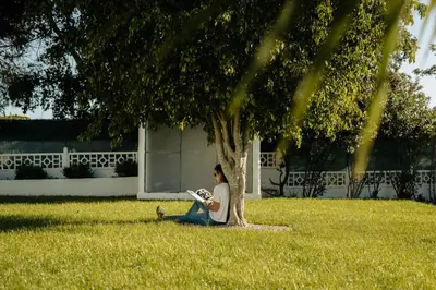 a woman sitting under a tree reading a book at Outsite Vilamoura in Quarteira