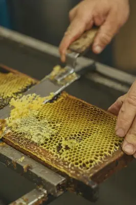 a person is cutting a honeycomb with a knife at Viceroy Residences at Ombria Algarve in Loulé