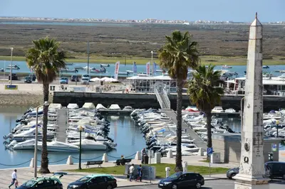 a group of boats in a marina with palm trees at Residencial A Doca in Faro
