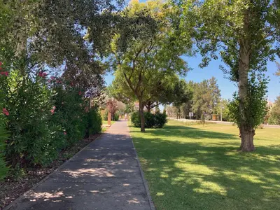 a path in a park with trees and grass at Barca do Lago - Vilamoura in Vilamoura