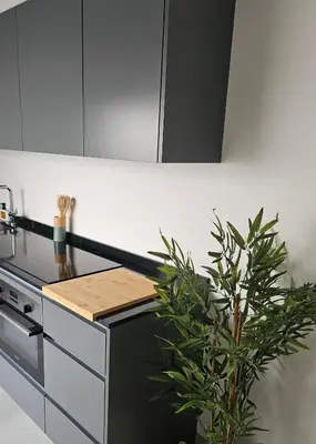 a kitchen with a plant sitting next to a stove at City Center Villa in Faro