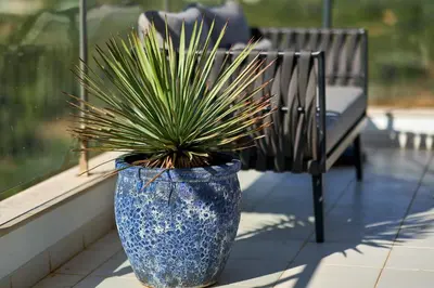 a blue vase with a plant in it next to a bench at Penthouse Monte da Eira - Sunset in Albufeira