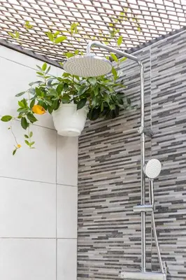 a potted plant hanging from a wall at Casa dos Avós - Faro Relax & Comfort in Faro