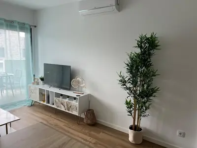 a living room with a tv and a potted plant at Appartement T1 Faro in Faro