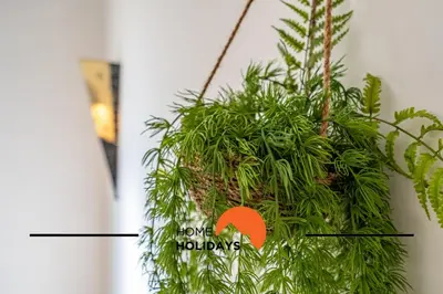 a green plant hanging from a wall at #298 Villas Luz H by Home Holidays in Albufeira