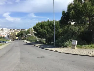 an empty street with trees on the side of the road at Old Town, Bay View Apartment in Albufeira