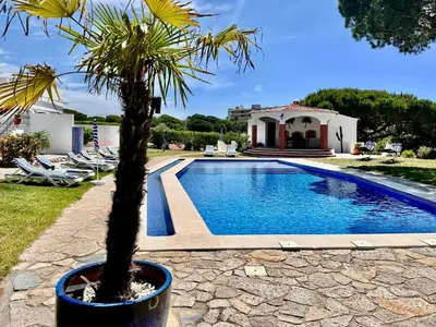 a palm tree in a pot next to a swimming pool at SOLAR Do MONTE 2 in Albufeira