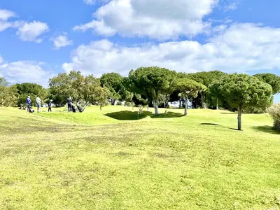 a group of people walking in a park with trees at Albufeira Balaia Golf Vilage 7 With Pool by Homing in Albufeira