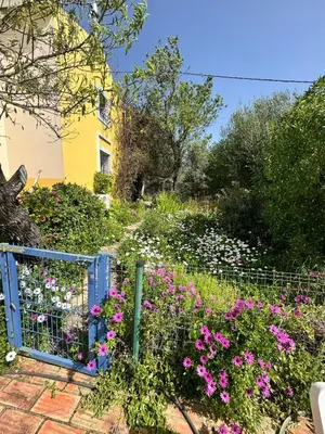 a garden with pink flowers and a blue fence at Casa da Parreira in Loulé