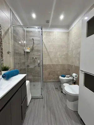 a bathroom with a shower and a toilet at Fernandes Holidays in Quarteira