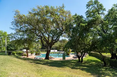a park with a swimming pool and trees at Luxury Beach House Apartment - Golf & Tennis Court & Pool View in Albufeira