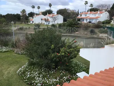 a bush in a yard with houses in the background at 2 Bedroom Townhouse, Vale de Parra in Guia