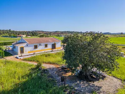 a small house in a field with a tree at Quinta da Bisa - Casa das Pedrinhas in Algoz