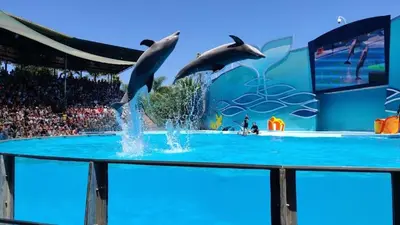 Gallery image of Quarto Charmoso a 300m da praia de Olhos de Água ! in Albufeira