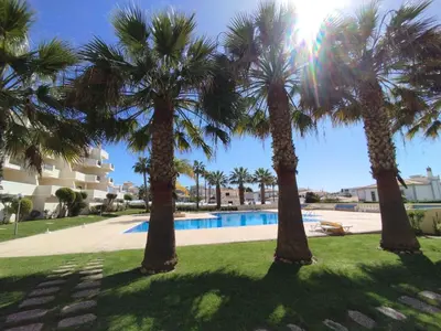 a group of palm trees in front of a swimming pool at São rafael Ocean View in Albufeira