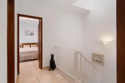 a black cat sitting in a hallway with a mirror at Villa Neves in Albufeira