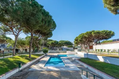 a swimming pool in a yard with trees at Charming Yellow Studio in Albufeira in Olhos de Água