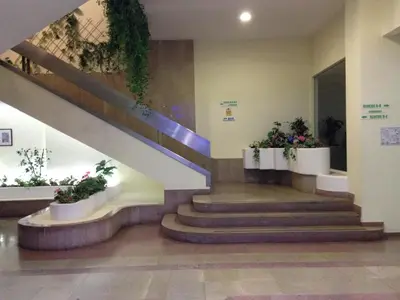 a staircase in a building with potted plants at Casa Vila Magna in Albufeira