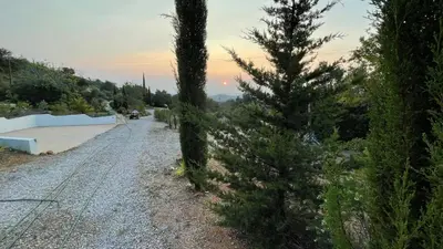 a pine tree on the side of a road at B&B Casa Encantada in Boliqueime