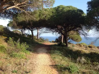 a dirt road with trees on the side of a hill at 2 bedroom Apartment Falésia Beach in Albufeira